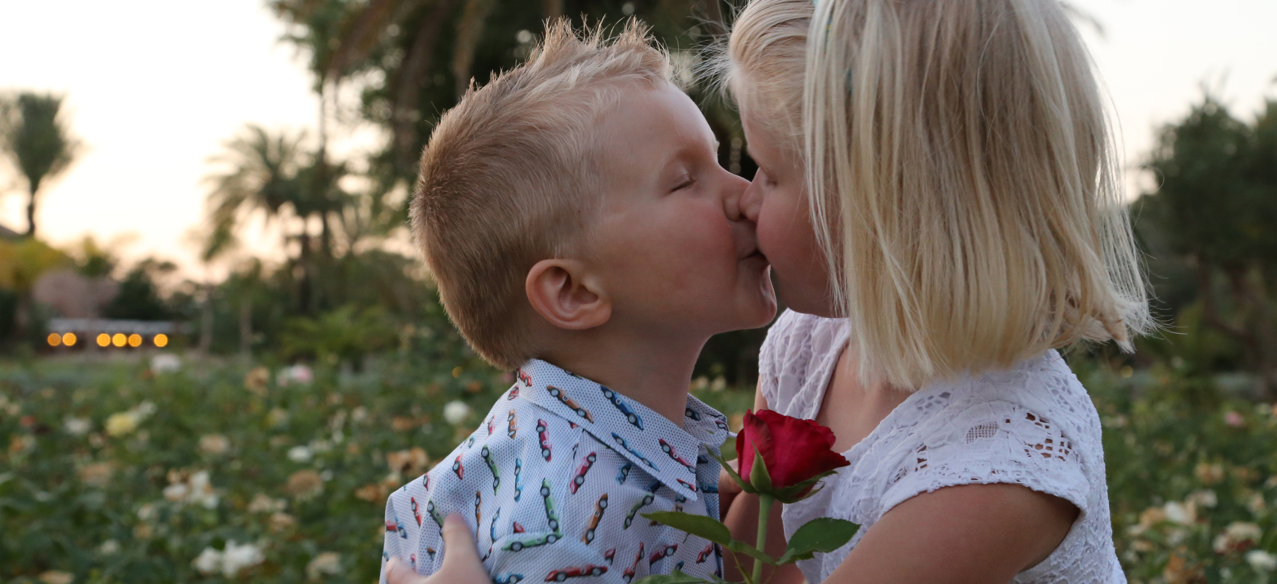 Fotograaf Dirk Blondeel Grimbergen